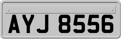 AYJ8556