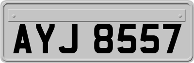 AYJ8557