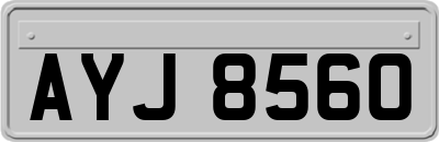 AYJ8560