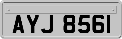 AYJ8561