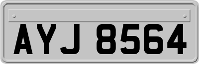AYJ8564