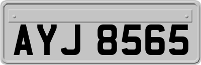 AYJ8565