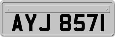 AYJ8571