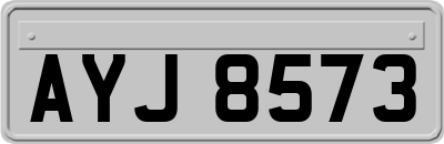 AYJ8573