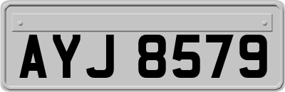AYJ8579