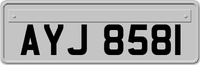 AYJ8581