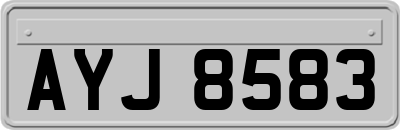AYJ8583