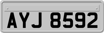 AYJ8592