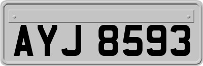 AYJ8593