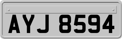AYJ8594