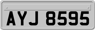 AYJ8595