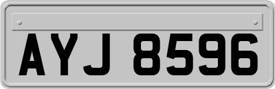 AYJ8596