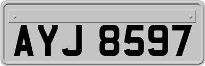AYJ8597
