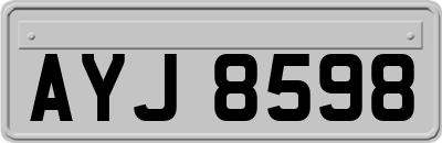 AYJ8598