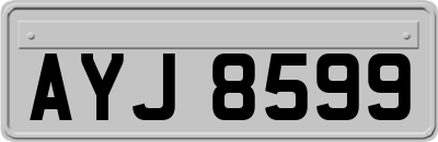 AYJ8599