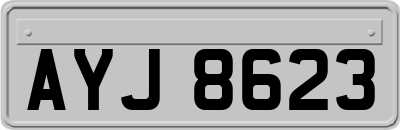 AYJ8623