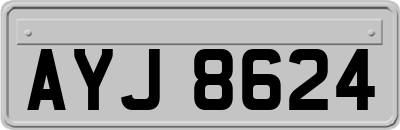 AYJ8624