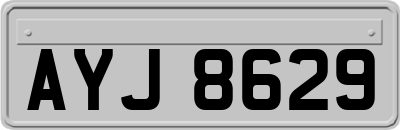 AYJ8629