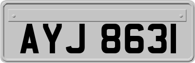 AYJ8631