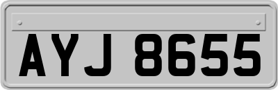 AYJ8655