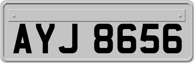 AYJ8656