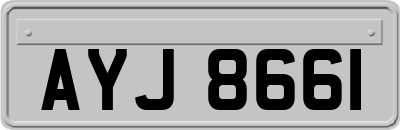 AYJ8661