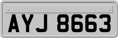 AYJ8663