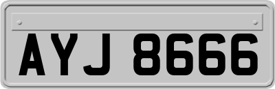 AYJ8666
