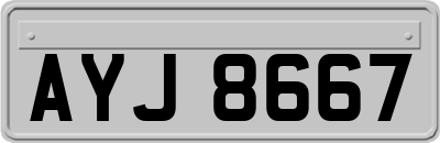 AYJ8667