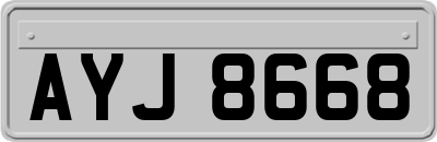 AYJ8668