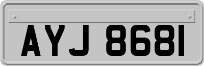 AYJ8681