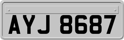 AYJ8687