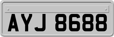 AYJ8688