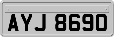 AYJ8690