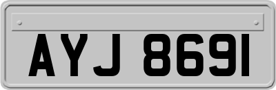 AYJ8691