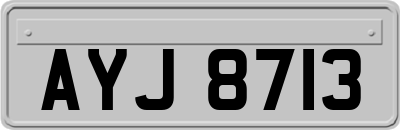 AYJ8713