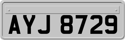 AYJ8729