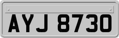 AYJ8730