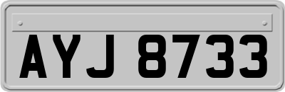 AYJ8733