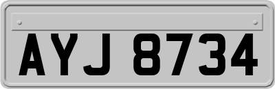 AYJ8734