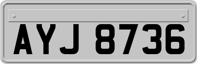 AYJ8736
