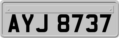 AYJ8737