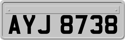 AYJ8738