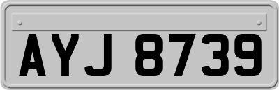 AYJ8739