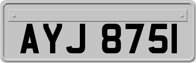 AYJ8751