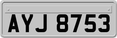 AYJ8753