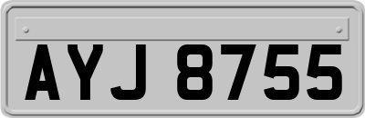 AYJ8755