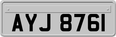 AYJ8761