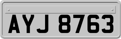 AYJ8763