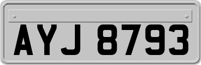AYJ8793